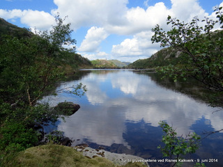 Risnestjørna (459 moh)