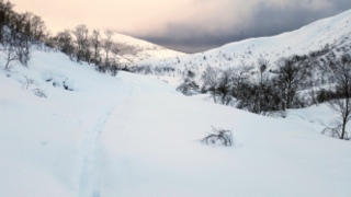 Fin nysnø på Gullbotn