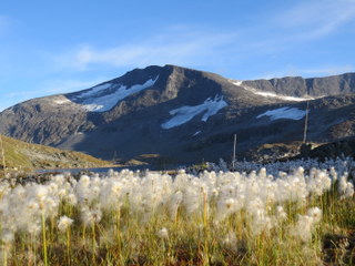 Store Steindalsnosi (2025 moh)