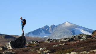 På vei til Vesl-Nystugguhøa (1513 moh). Snøhetta i bakgrunnen.