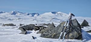 På Avsjøhøe med Snøhetta i bakgrunnen