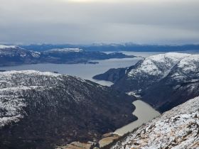 osvidden