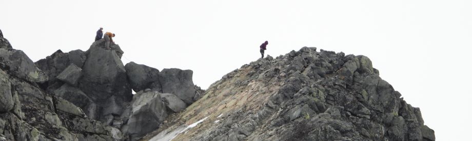 Taulag på toppen